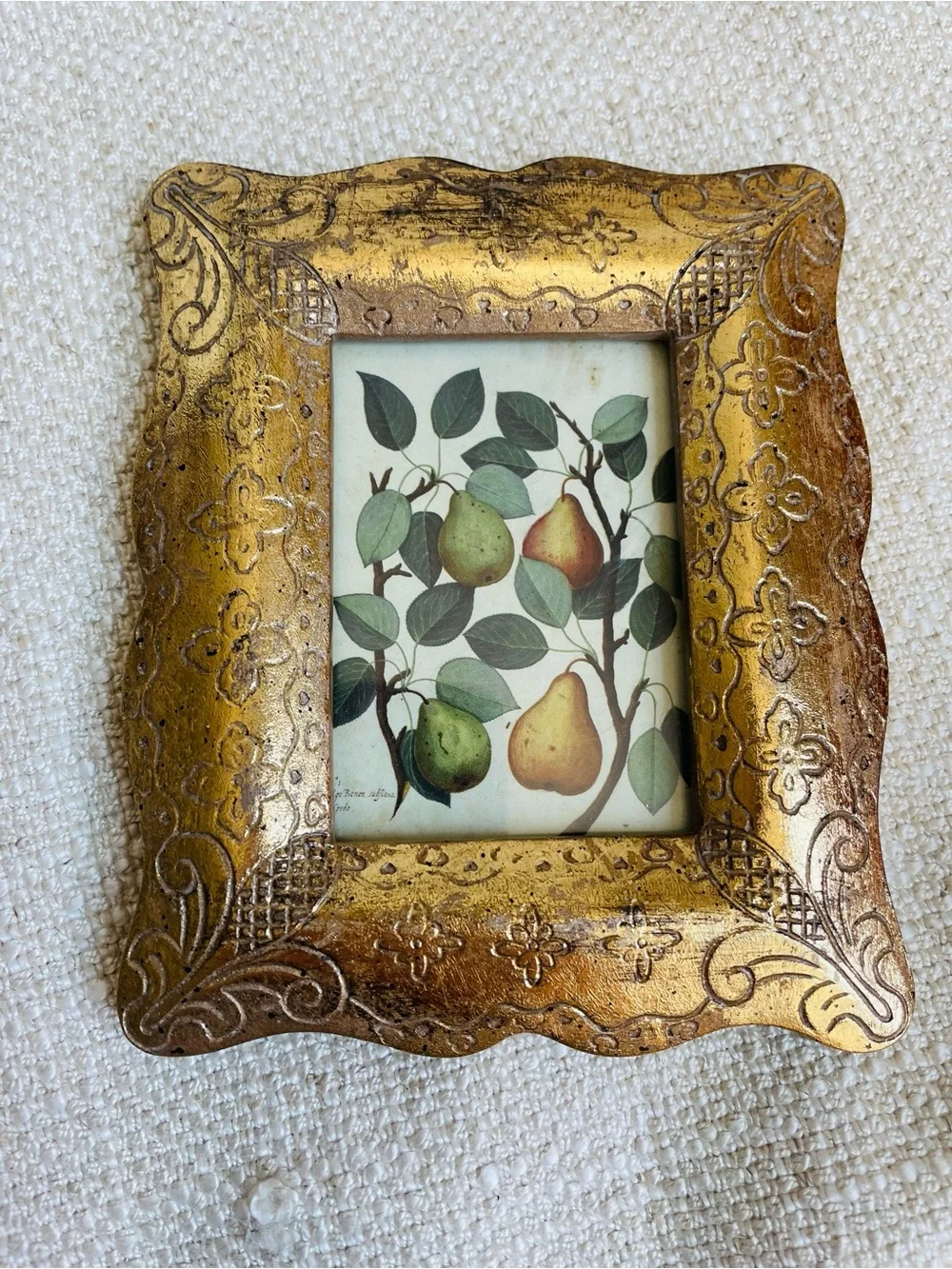 Ornate Gold Decorative Picture Frame with Botanical Pear Print Fits 2.5x3.5
